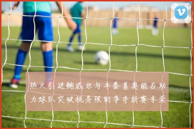 热火引进鲍威尔与丰泰基奥能否助力球队突破税务限制争夺新赛季荣誉